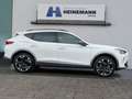 CUPRA Formentor 1.5 TSI DSG LED Sitzh. PDC Weiß - thumbnail 6