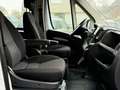 Fiat Ducato Maxi Grossr.-Kasten 35 180 L4H2 RS: 4035 Weiß - thumbnail 19