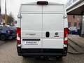 Fiat Ducato Maxi Grossr.-Kasten 35 180 L4H2 RS: 4035 Weiß - thumbnail 6