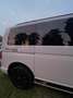 Volkswagen Transporter T6 camperizada - thumbnail 3