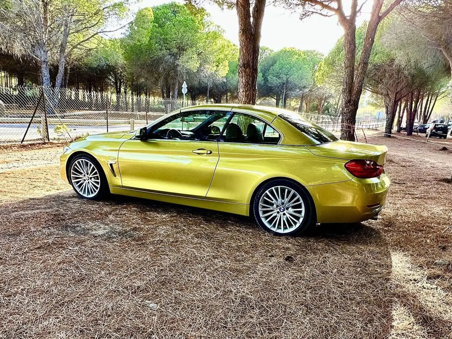 BMW 435 435i Cabrio xDrive Aut. Luxury Line Amarillo - 2