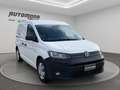 Volkswagen Caddy 2.0 TDI 4X4 ALLESTITO Bianco - thumbnail 3