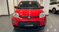 Fiat Panda 1.0 FireFly S&S Hybrid City Life Rosso - thumbnail 2