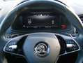 Skoda Karoq 2.0TDi Style 4x4 ACC Navi Kamera Schwarz - thumbnail 10
