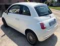 Fiat 500 500 III 1.2 easypower Pop Gpl 69cv White - thumbnail 7