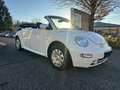 Volkswagen New Beetle Cabriolet 1.9 TDI TÜV NEU 2.Hand Blanc - thumbnail 2