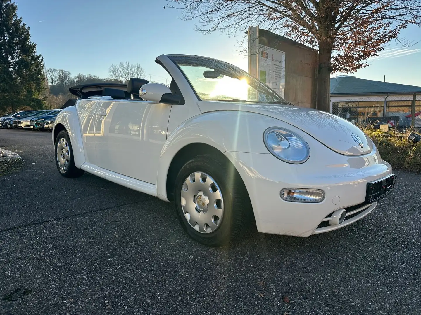 Volkswagen New Beetle Cabriolet 1.9 TDI TÜV NEU 2.Hand Weiß - 2