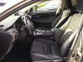Lexus NX 300 Hybrid CAMBIO AUTOMATICO Gris - thumbnail 6