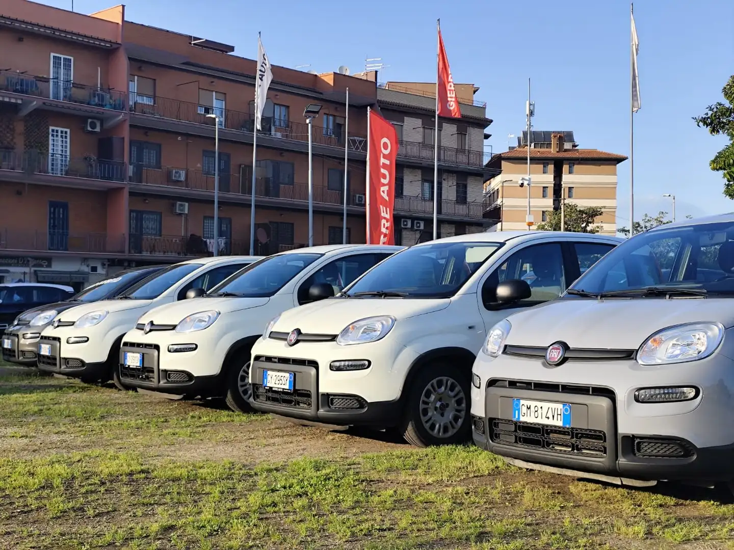 Fiat Panda Panda 1.0 firefly hybrid s - 1