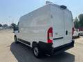 Toyota Proace Max 33 2.2 BlueHDi 120CV PM-TM Furgone - thumbnail 10
