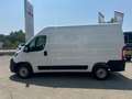 Toyota Proace Max 33 2.2 BlueHDi 120CV PM-TM Furgone - thumbnail 11