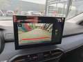 Dacia Sandero Stepway Expression Step 2026 TCe110 Winter Pake... Grau - thumbnail 13
