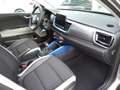 Kia Stonic Nightline Edition 1.0T 48V DCT Grau - thumbnail 14