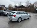 Skoda Octavia Ambition 4x4 Grau - thumbnail 13