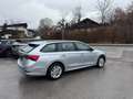 Skoda Octavia Ambition 4x4 Grau - thumbnail 12