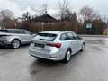 Skoda Octavia Ambition 4x4 Grau - thumbnail 14