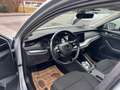 Skoda Octavia Ambition 4x4 Grau - thumbnail 19