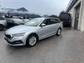 Skoda Octavia Ambition 4x4 Grau - thumbnail 18