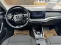 Skoda Octavia Ambition 4x4 Grau - thumbnail 22