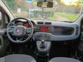 Fiat Panda Panda 1.2 Lounge s Arancione - thumbnail 9