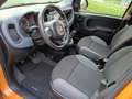 Fiat Panda Panda 1.2 Lounge s Arancione - thumbnail 11