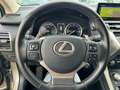 Lexus NX 300 Hybrid 4WD Premium PELLE AZIENDALE KM CERTIFICATI Zilver - thumbnail 11