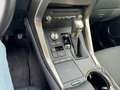Lexus NX 300 Hybrid 4WD Premium PELLE AZIENDALE KM CERTIFICATI Zilver - thumbnail 13
