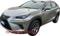 Lexus NX 300 Hybrid 4WD Premium PELLE AZIENDALE KM CERTIFICATI Argento - thumbnail 1