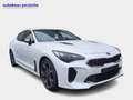 Kia Stinger GT 4WD 3,3 V6 T-GDI - VOLL - Alb - thumbnail 1