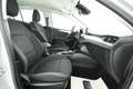Ford Focus SW 1.5 ecoblue Business Co-pilot s&s 120cv auto NE Grigio - thumbnail 14