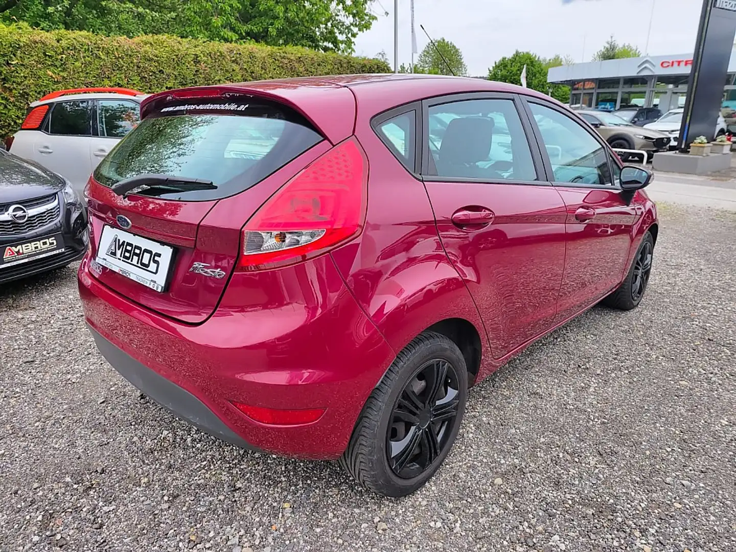 Ford Fiesta Trend 1,6 TDCi DPF Violett - 2