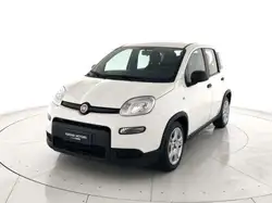 Fiat Panda 2024