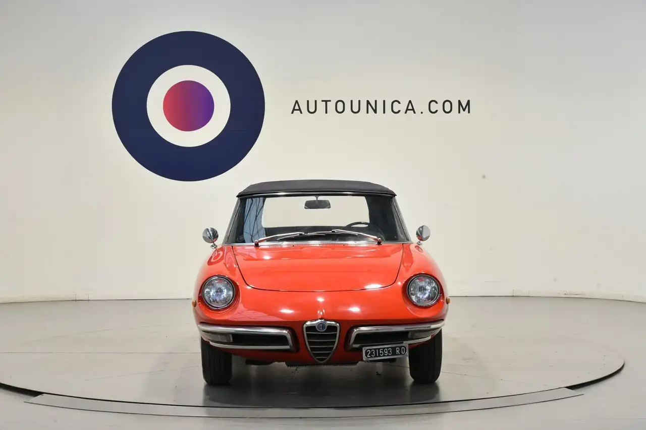 Alfa Romeo Spider 1300 JUNIOR OSSO DI SEPPIA ASI TARGA ORO, foto 2