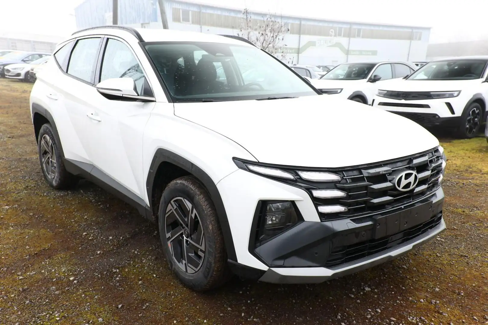 Hyundai TUCSON Select 1.6 T-GDI 160 Facelift Nav SHZ BCW 118 k... Weiß - 1