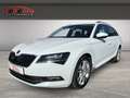 Skoda Superb Combi 4x4 2.0 TDI  Leder Memory Sitze Klimasitze B Blanco - thumbnail 3