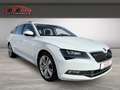 Skoda Superb Combi 4x4 2.0 TDI  Leder Memory Sitze Klimasitze B Blanco - thumbnail 1
