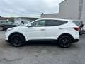 Hyundai SANTA FE Santa FE PREMIUM 4WD SITZLUFT + PANO Blanc - thumbnail 4