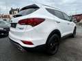 Hyundai SANTA FE Santa FE PREMIUM 4WD SITZLUFT + PANO Blanc - thumbnail 7