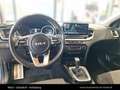 Kia Ceed / cee'd CEED/GOLD/UVO/1.0 TGDI/MT6/120 Blau - thumbnail 19