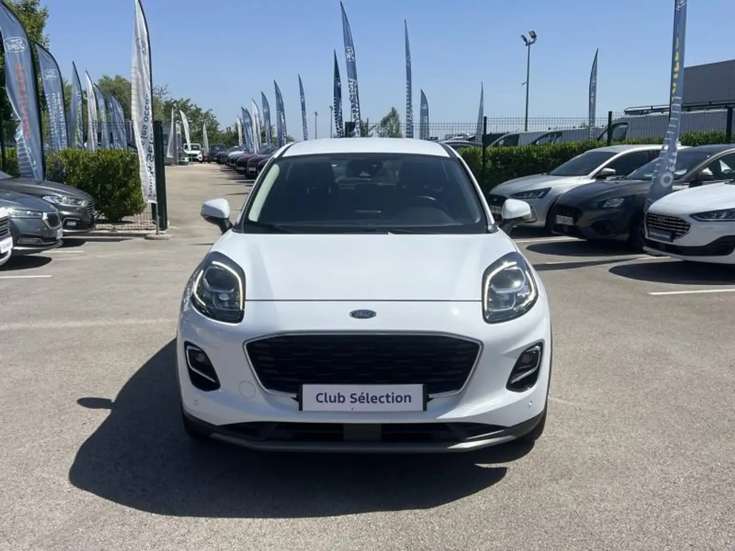 Ford Puma 1.5 EcoBlue 120ch Titanium Business 6cv Blanc - 2