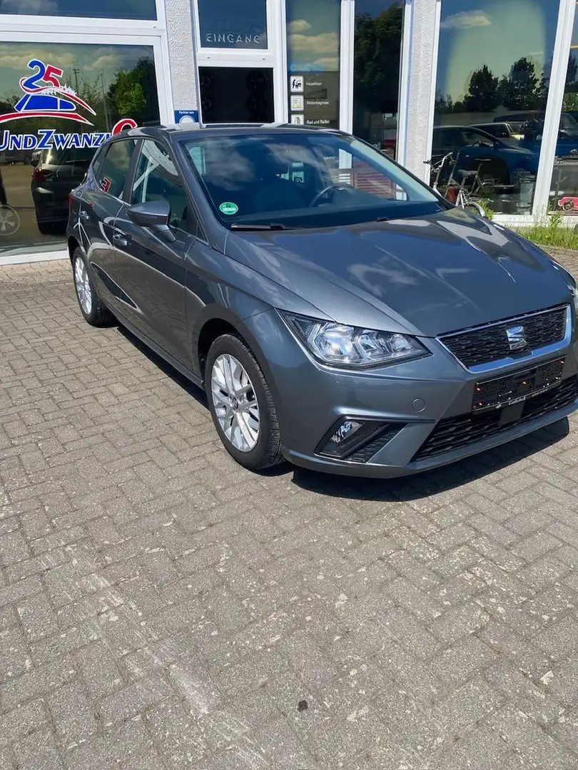 SEAT Ibiza Style Grau - 2