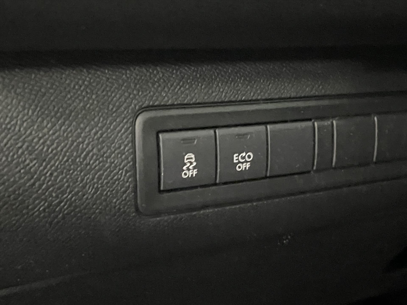 Peugeot 308 Sw GT 130pk Panodak | Trekhaak| nieuwe distributie — photo 32