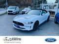 Ford Mustang Convertible Eco Boost Leder Navi Keyless AD Klimas Bílá - thumbnail 1