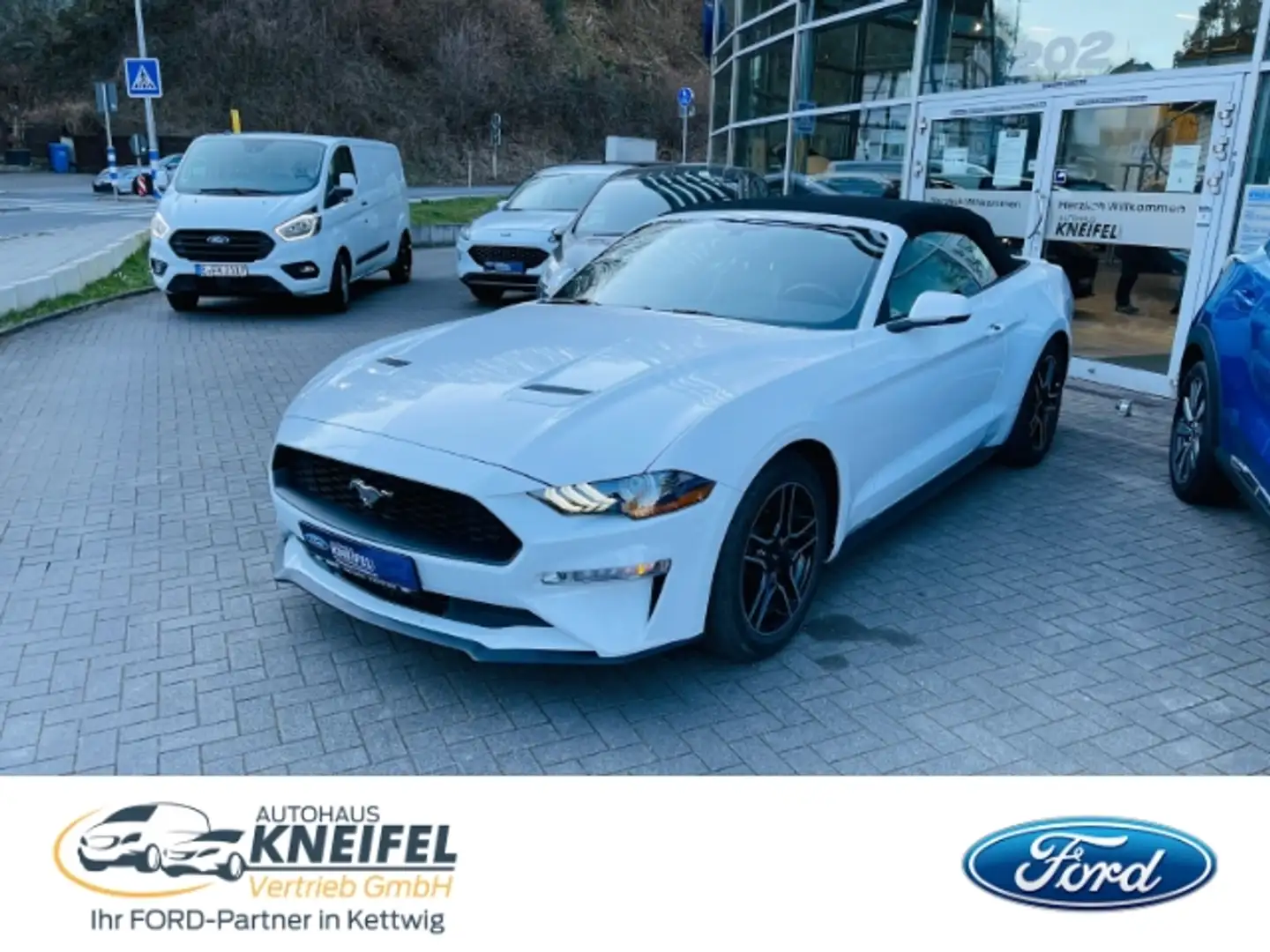 Ford Mustang Convertible Eco Boost Leder Navi Keyless AD Klimas Fehér - 1