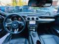 Ford Mustang Convertible Eco Boost Leder Navi Keyless AD Klimas Blanc - thumbnail 4