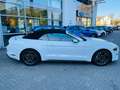 Ford Mustang Convertible Eco Boost Leder Navi Keyless AD Klimas bijela - thumbnail 3