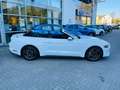Ford Mustang Convertible Eco Boost Leder Navi Keyless AD Klimas bijela - thumbnail 8