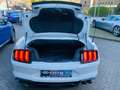 Ford Mustang Convertible Eco Boost Leder Navi Keyless AD Klimas Blanco - thumbnail 13
