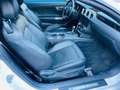 Ford Mustang Convertible Eco Boost Leder Navi Keyless AD Klimas White - thumbnail 16