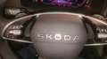 Skoda Karoq TDI DSG Sportline 4x4, Matrix-LED, AHK, Grau - thumbnail 19